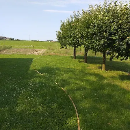 La Casa Dei Tulipani *