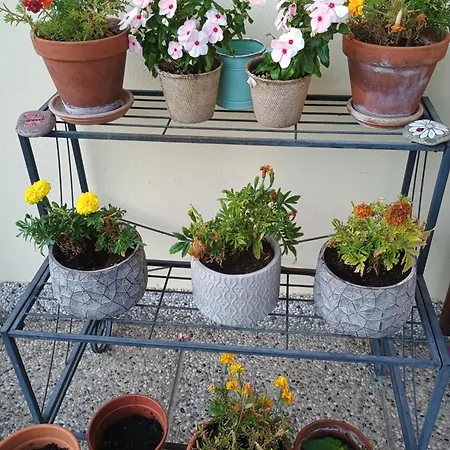 La Casa Dei Tulipani Apartament Zenson di Piave